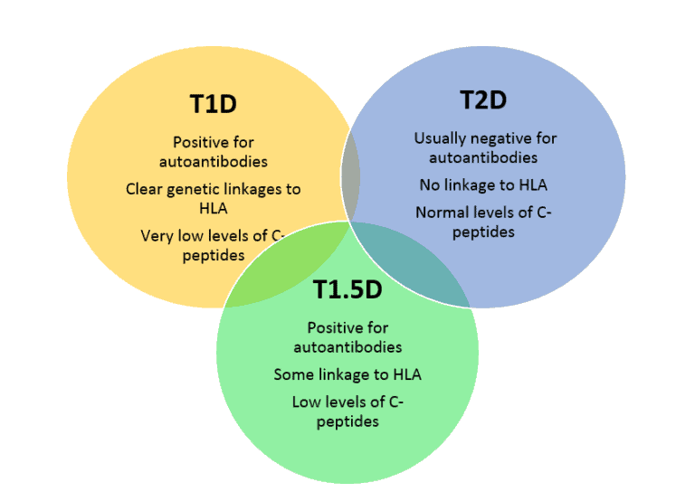 type-1-5-diabetes-an-overview