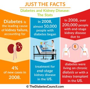 Diabetes And Renal Failure: Everything You Need To Know