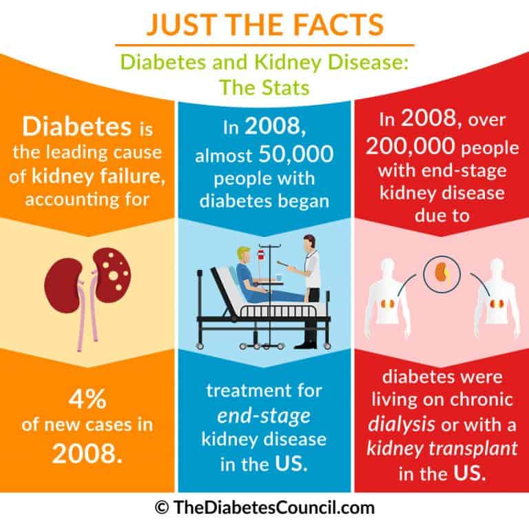 Diabetes Og Nyresvigt Everything You Need To Know Alai