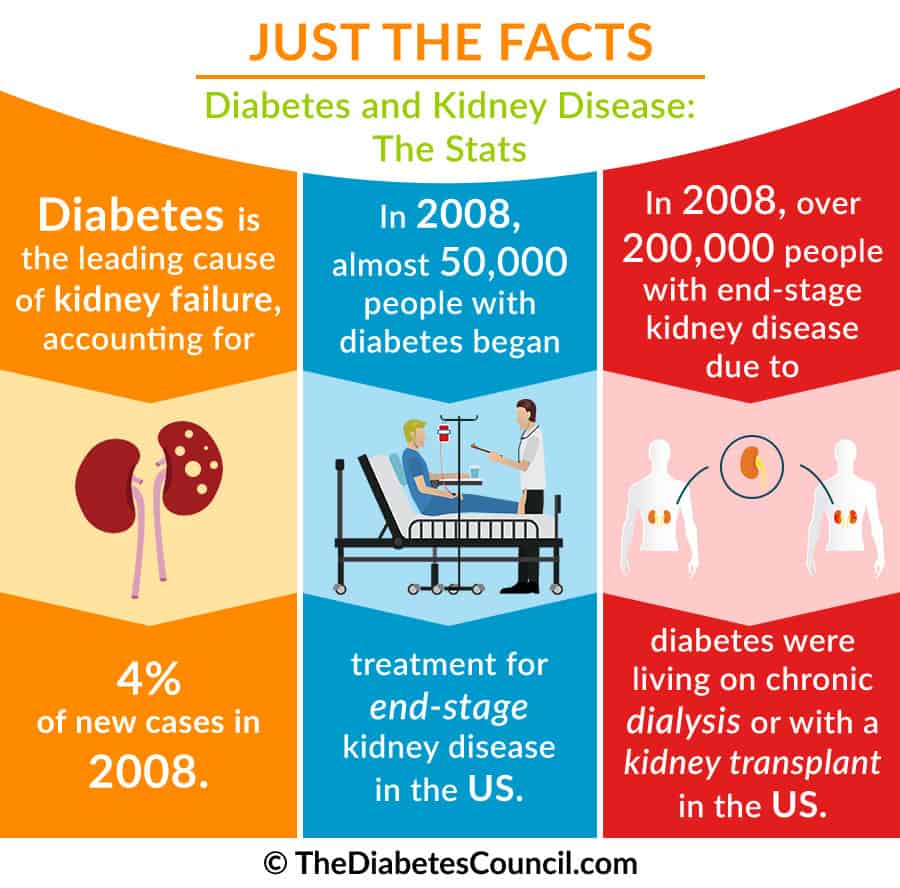 Diabetic Kidney Disease Vs Ckd At Pearl Cantara Blog