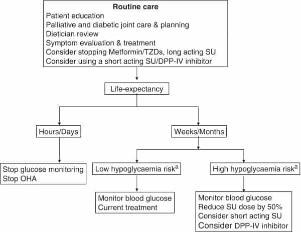 Palliative Care and Advanced Terminal Illness for Patients with Diabetes