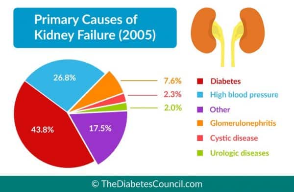 Diabetes And Renal Failure: Everything You Need To Know