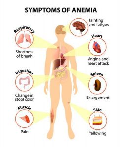 Diabetes and Anemia: Are They Related?