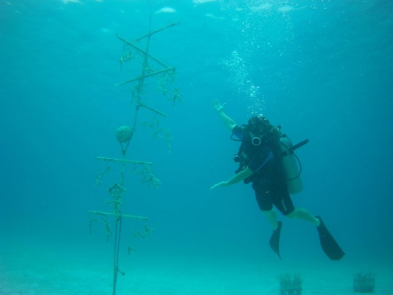 Guidance for Diabetes & Scuba Diving