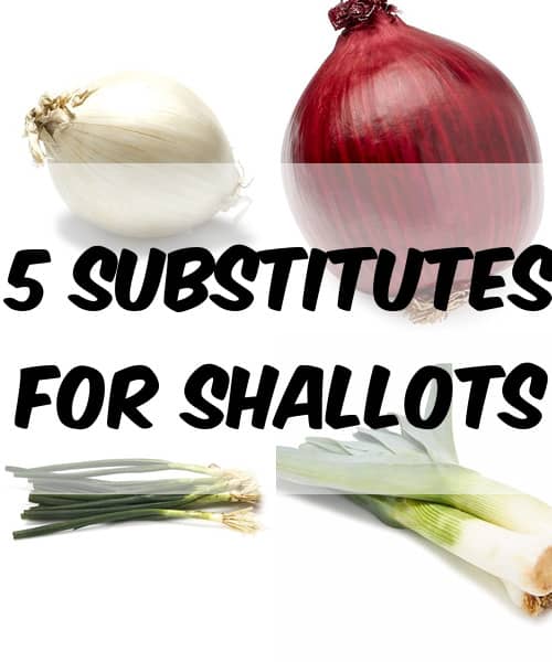 4 Best Shallot Substitutes [Easy Ingredient Alternatives] - TheEatDown